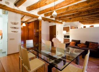 Charming Loft, fully renovated